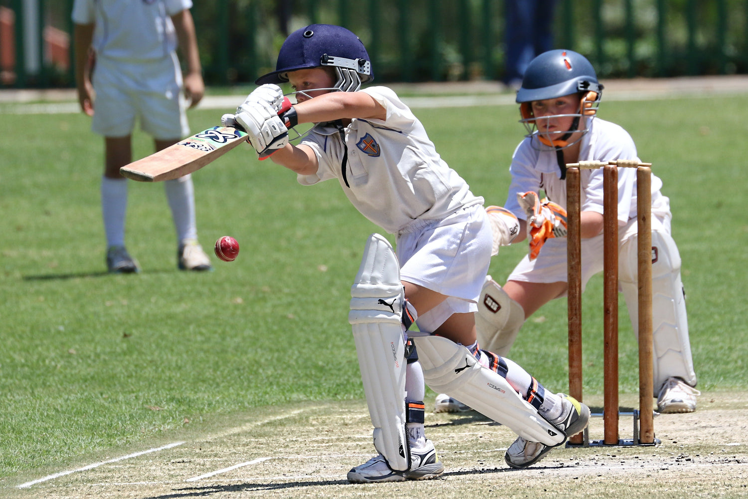 Junior Bats